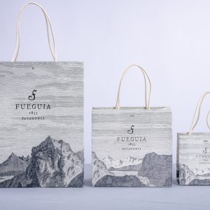 Shopping bag manuale